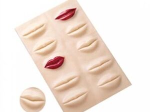 アートメイク練習用3Dシート 唇（ベラ）